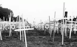 Gun Deaths photo by John Sonderman