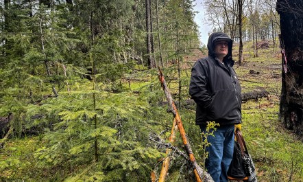 Jesse Jackson stands at the divide between a restored forest and an unrestored section, a stark difference in canopies.