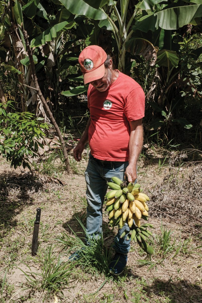 Pedro dos Santos holds a freshly cut bunch of bananas, one of the main foods produced in Roseli Nunes, a settlement of the Landless Workers Movement in Piraí, Brazil.
