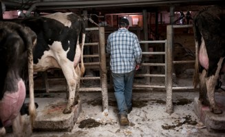 Wisconsin Rural Urban.jpg