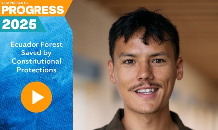 Journalist Peter Yeung explains to Sonali Kolhatkar how Los Cedros remains protected against extractive industries thanks to its constitutional rights.