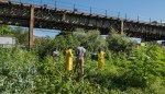 Growing Food Justice in Brooklyn