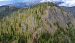 Do Mountain Forests Hold the Answers for Climate Science?