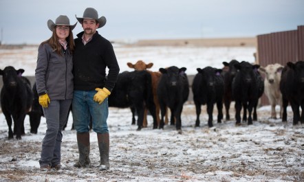 Kelsey Scott and Monte Scott pose together in front of a herd of cattle.