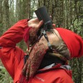 Lynda V. Mapes looks up at the sky with binoculars